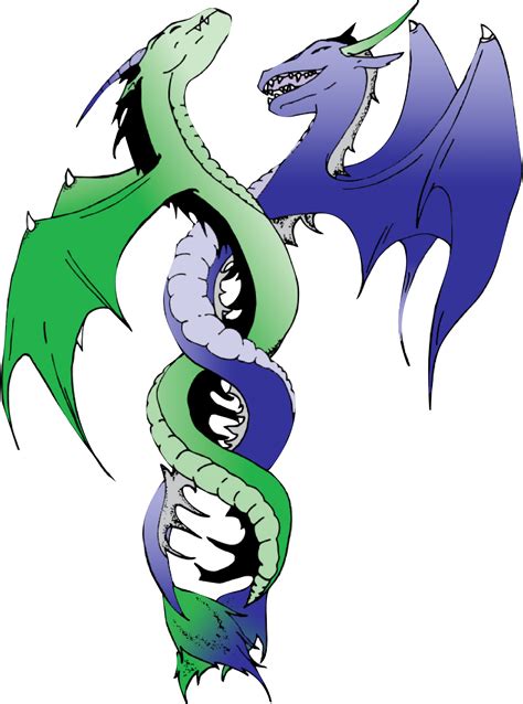 Download Bioscience Dragons - Bioscience High School Mascot PNG Image with No Background ...