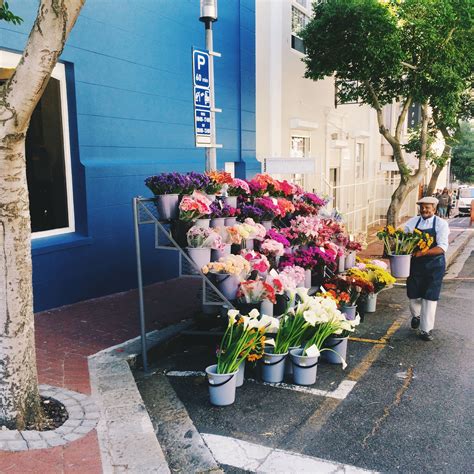 Flower street vendor in Cape Town, South Africa | Cape town, Flowers ...