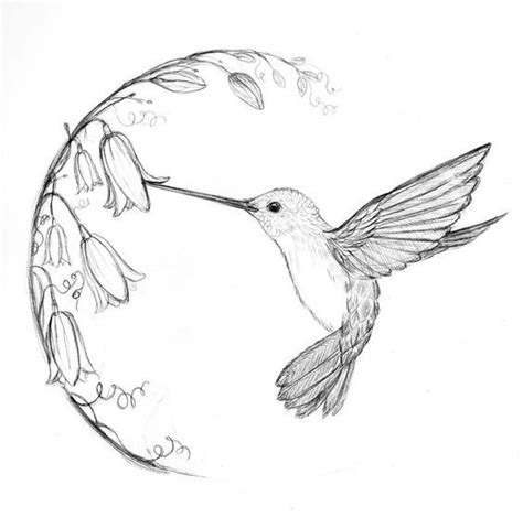 How To Draw A Simple Hummingbird - Draw easy