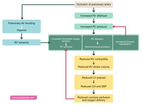 Pulmonary Embolism (PE): Causes, symptoms, diagnosis, treatment