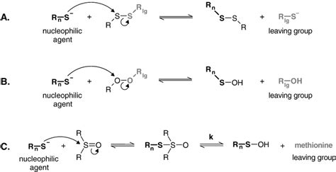 Nucleophilic substitutions and reactive cysteines. (A) Thiol-disulfide ...