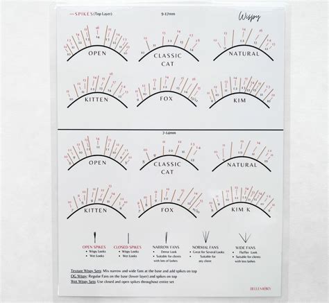 Wispy Eye Shape Chart Laminated Lash Map Chart in 2023 | Eye shape chart, Eye shapes, Lashes