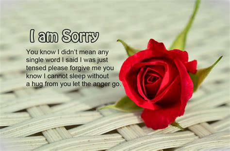 I am Sorry Messages For Wife - Sweet & Romantic - WishesMsg