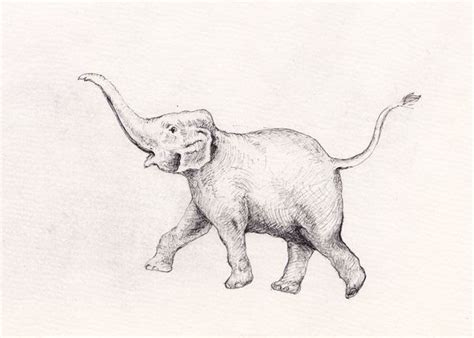 elephant trunk up drawing - Google Search | Elephant drawing, Elephant ...