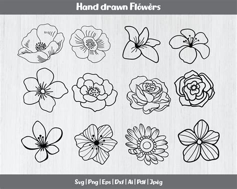 Hand Drawn Flowers Svg Bundle Roses Svg Flower Svg Cut - Etsy