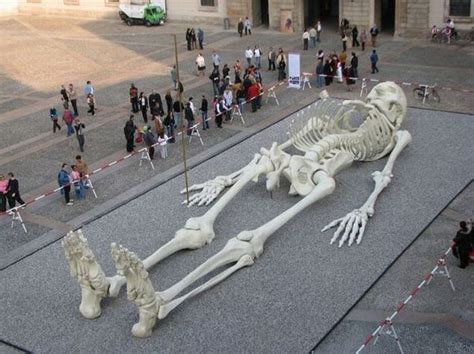 Giant Skeleton – 1Funny.com