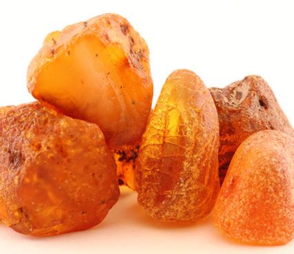 Amber Essential Oil Pure and Natural Supplier and Wholesale Manufacture