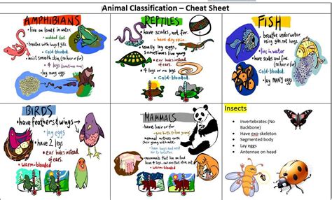 Science - Cheryl Miller's Education Portfolio | Animal classification ...