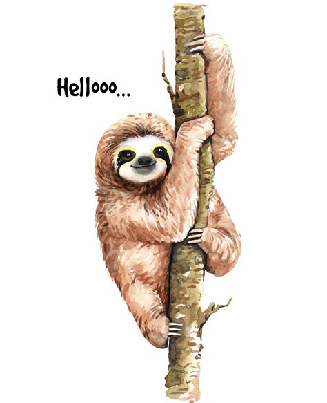 Watercolor sloth on branch 669931 Vector Art at Vecteezy