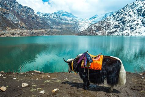 Nepal, Darjeeling and Sikkim Tour - Nepal's Top Trekking & Tour Company ...