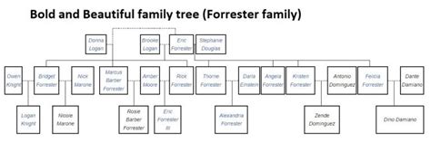 Bold and Beautiful Family Tree (Forrester Family)