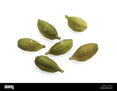 Cardamom, elettaria cardamomum, Seeds against White Background Stock ...