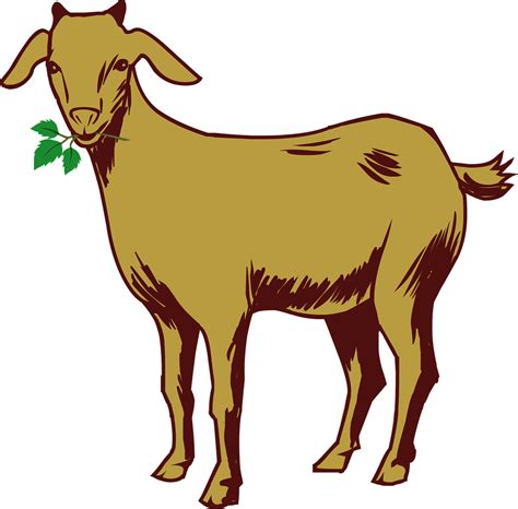 Download Goat, Drawing, Nature. Royalty-Free Vector Graphic - Pixabay