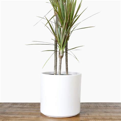 Large White Plant Pot Modern Planter Ceramic Indoor Outdoor Flower Pot ...