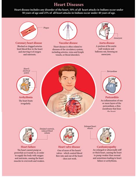 Common Circulatory System Disorders and Their Symptoms | Health