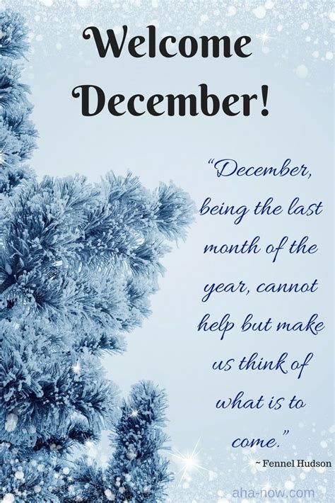 Blog | Aha!NOW | December quotes, Hello december quotes, Birthday quotes for me