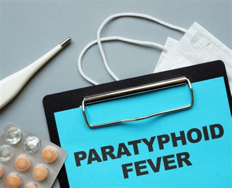 Case of paratyphoid fever in Selwyn district | Otago Daily Times Online ...