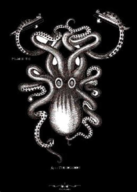 Kraken rum logo | Beer branding design, Kraken, Seascape artists