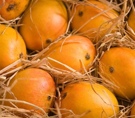 Alphonso Mango Box 12 Add On - Fruity Fresh