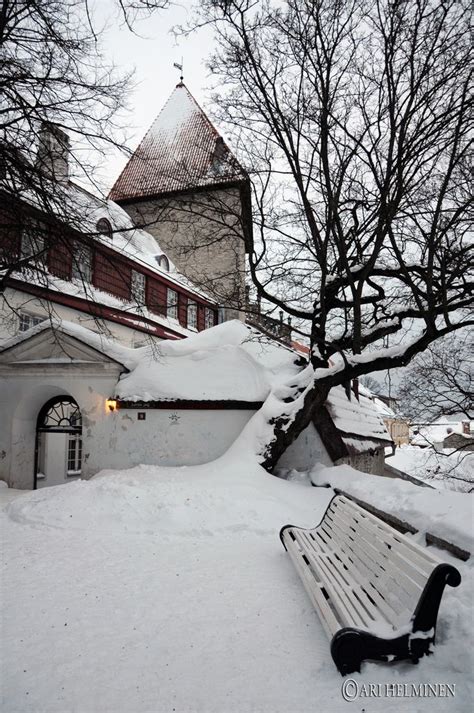 Winter in Old town, Tallinn Estonia | Winter scenes, Winter scenery ...