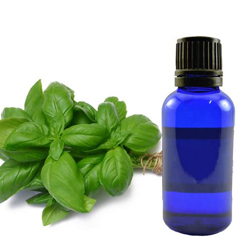 Essential Oil - Basil • Herb Stomp