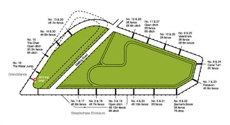 The Ultimate Guide to Aintree Racecourse