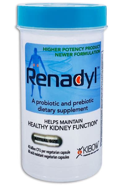 Probiotic Supplements for Chronic Kidney Problems - Renadyl™