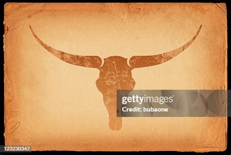 Texas Longhorn Skull On Old Paper Background High-Res Vector Graphic ...