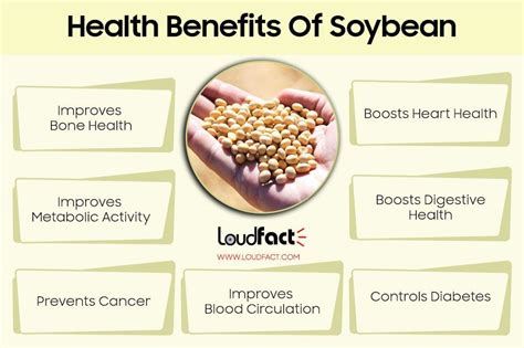 Unknown Soybean Facts And Amazing Health Benefits | Beans benefits, Seeds benefits