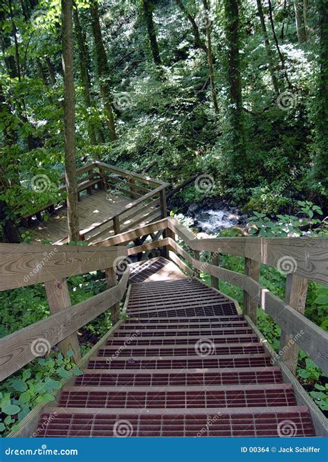 Stairs In The Woods Stock Images - Image: 364