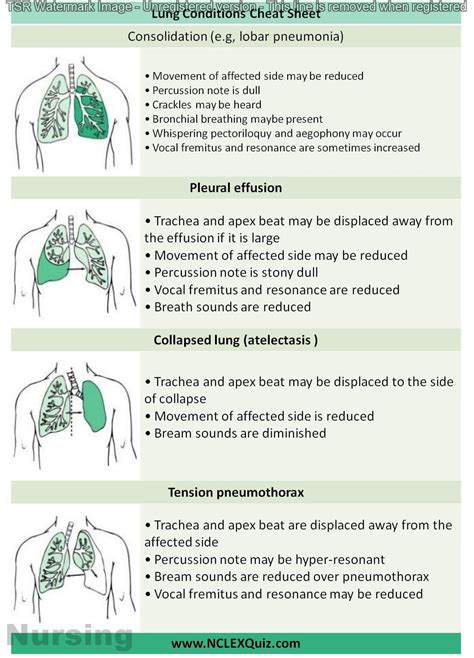 nursing pharm cheat sheet #nursingstudents nursing student clinical cheat sheet | Icu nursing ...