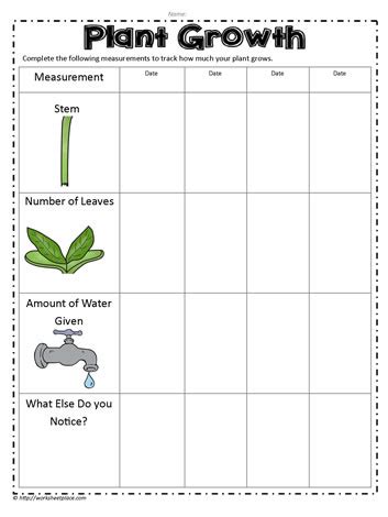 Plant Growth Measurement Worksheet