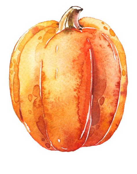 watercolor pumpkin png 10 free Cliparts | Download images on Clipground 2023