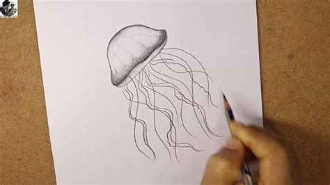 How To Draw A Realistic Jellyfish