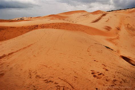 Sledding Down the Red Sand Dunes of Mui Ne, Viet Nam » Greg Goodman ...