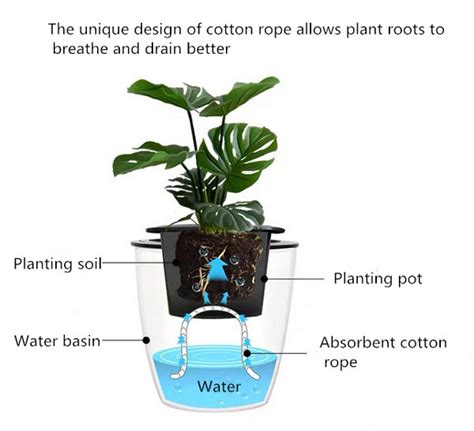 5 Inch Self Watering Pot | Tool.com