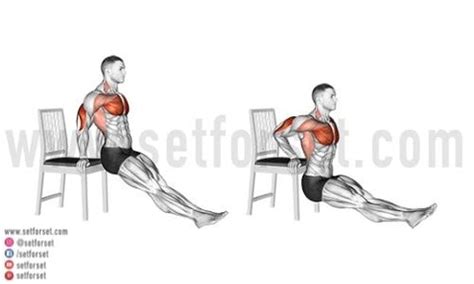 Dips Guide: 15 Variations, Muscles Worked, How To, & Benefits - SET FOR SET