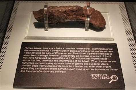 The Lloyds Bank coprolite is a large paleofeces recovered by ...