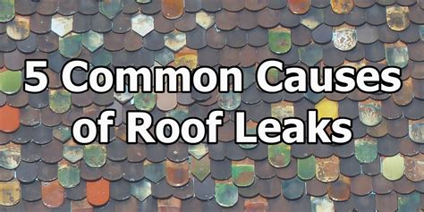 5 Common Causes of Roof Leaks - Select Home Exteriors