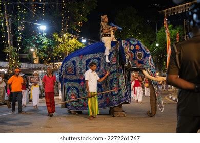 486 Mahout costume 이미지, 스톡 사진 및 벡터 | Shutterstock