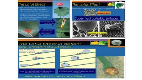 Nanotechnology: Origin, History and Principles