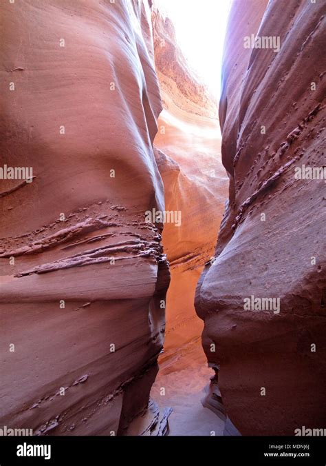 Spooky Gulch slot canyon, at Dry Fork, a branch of Coyote Gulch, Hole In The Rock Road, Grand ...