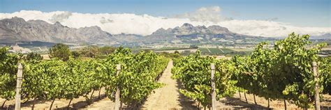 Visit The Winelands on a trip to South Africa | Audley Travel