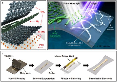 Technologies | Free Full-Text | Flexible Sensors—From Materials to ...