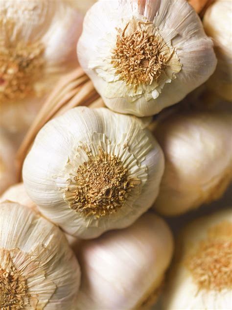 Garlic Bulbs Photograph by Peter Dazeley - Fine Art America