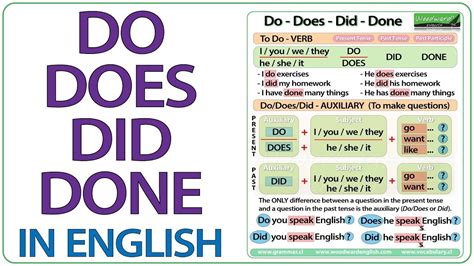 do did done – do et does en anglais – Genertore2