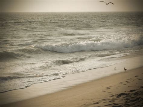 Malibu Beach Free Stock Photo - Public Domain Pictures