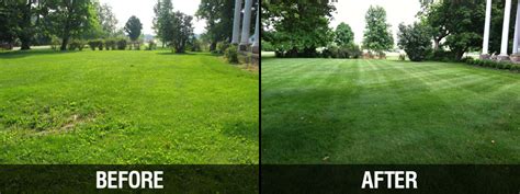 PureLawn Photo Gallery - Cincinnati & Dayton Organic Lawn Care Service