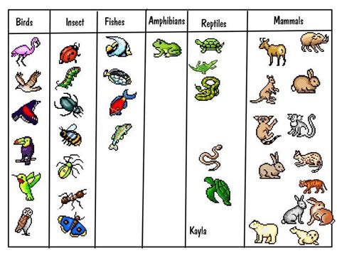 Hawaii DOE | Animal classification, Animal classification for kids, Second grade science