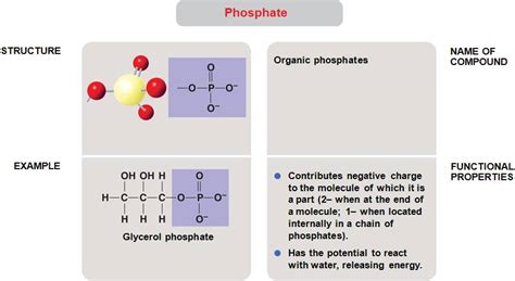 phosphate.html 04_10fChemicalGroups-L.jpg